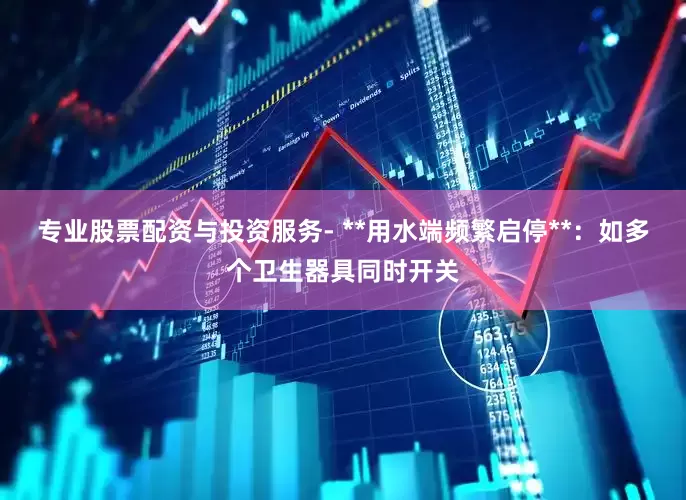 专业股票配资与投资服务- **用水端频繁启停**：如多个卫生器具同时开关