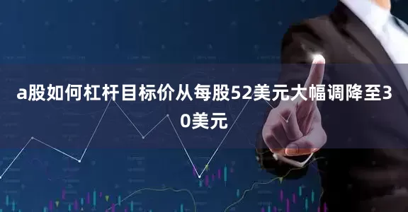 a股如何杠杆目标价从每股52美元大幅调降至30美元