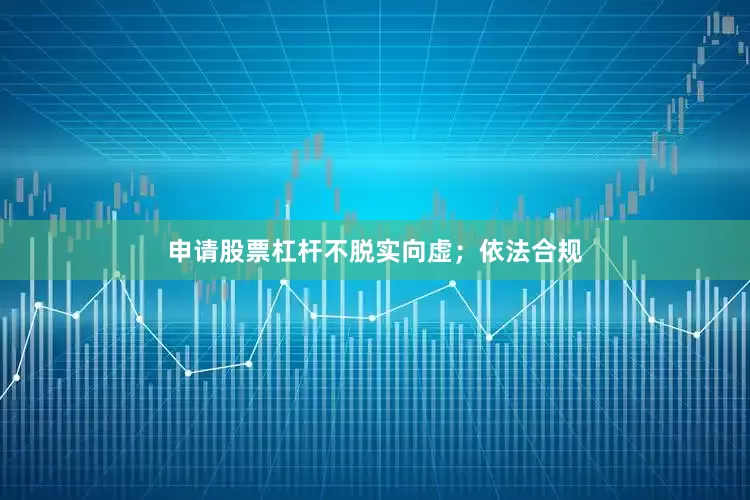 申请股票杠杆不脱实向虚；依法合规