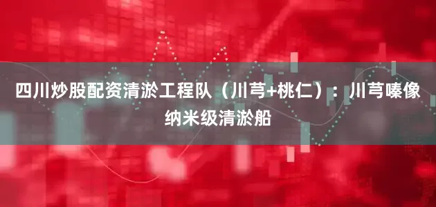 四川炒股配资清淤工程队（川芎+桃仁）：川芎嗪像纳米级清淤船