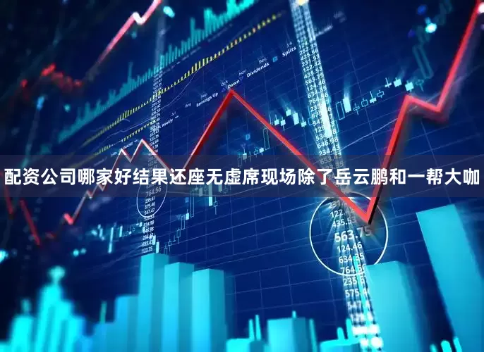 配资公司哪家好结果还座无虚席现场除了岳云鹏和一帮大咖