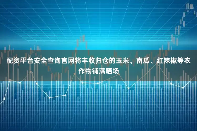 配资平台安全查询官网将丰收归仓的玉米、南瓜、红辣椒等农作物铺满晒场