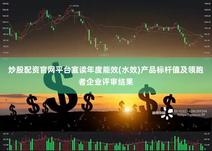 炒股配资官网平台宣读年度能效(水效)产品标杆值及领跑者企业评审结果