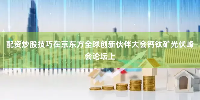 配资炒股技巧在京东方全球创新伙伴大会钙钛矿光伏峰会论坛上