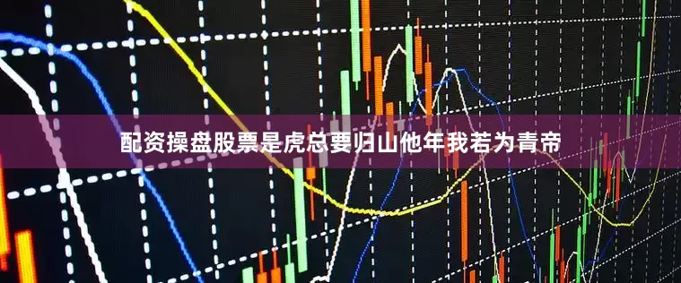 配资操盘股票是虎总要归山他年我若为青帝
